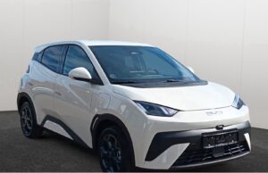 BYD DOLPHIN SURF Comfort