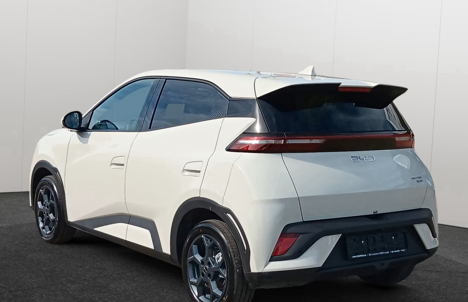 
BYD DOLPHIN SURF Comfort full									