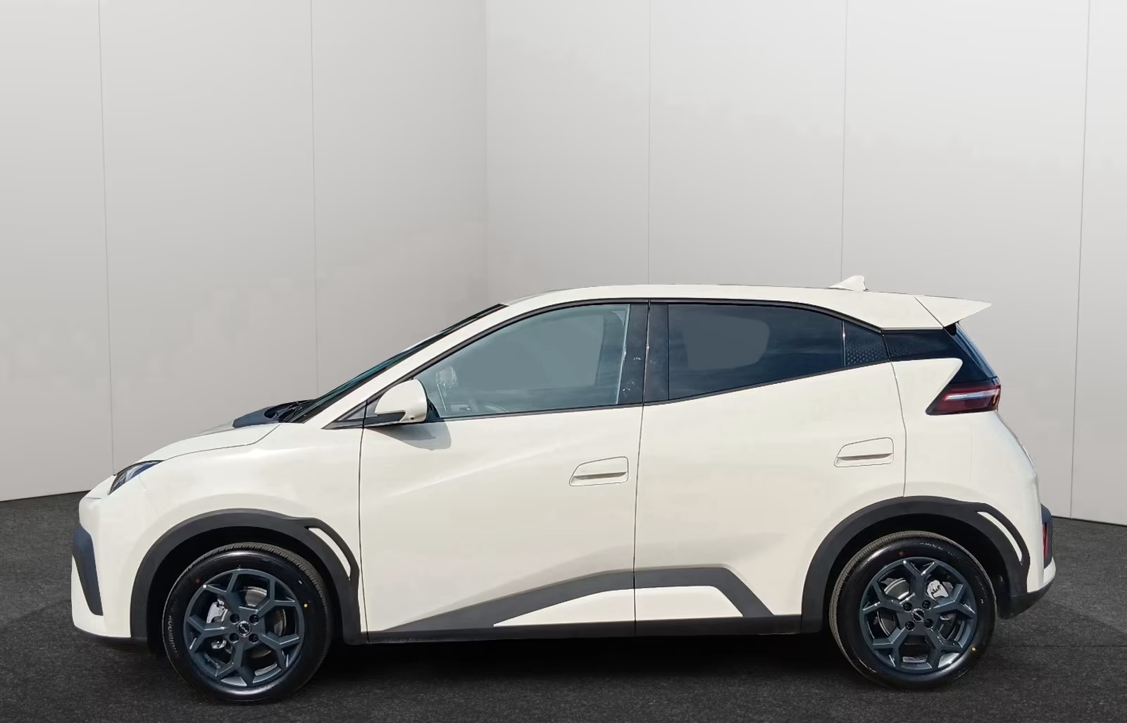 
BYD DOLPHIN SURF Comfort full									