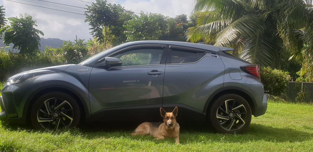 
TOYOTA CHR HYBRIDE full									